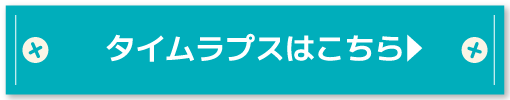 タイムラプスはこちら