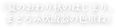 『ふたりの秘密、レンジ焼き飯』