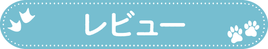 レビュー